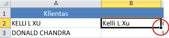 Small black square for filling down the formula