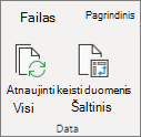 "PivotTable" atnaujinimas