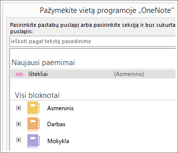 „OneNote“ lango, kuriame galite pasirinkit, į kurį puslapį perkelti „Skype“ pastabas, ekrano kopija