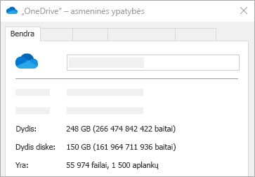 "OneDrive" dydis disko ypatybėse