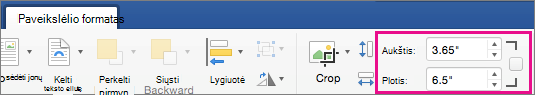 Skirtukas Paveikslėlio formatas, kuriame paryškinti laukai Aukštis ir Plotis.