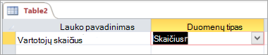 Naujos "Access" lentelės pirmojo lauko pavadinimas ir duomenų tipas