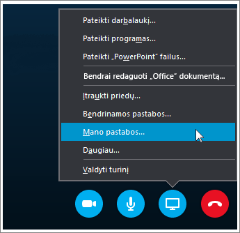 Ekrano kopija, kurioje rodoma, kaip bendrinti „OneNote 2016“ pastabas „Skype“ verslui