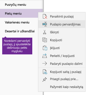 Pervardinamo puslapio programoje „OneNote“ ekrano nuotrauka