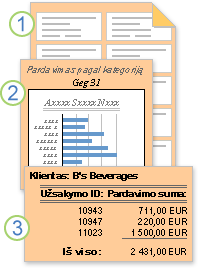 Ataskaitos, kuriose rodomi suformatuoti ar apskaičiuoti duomenys