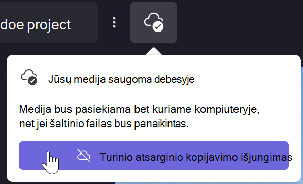 "Clipchamp" pranešimo, kad būtų pašalinta failų atsarginė kopija, vaizdas