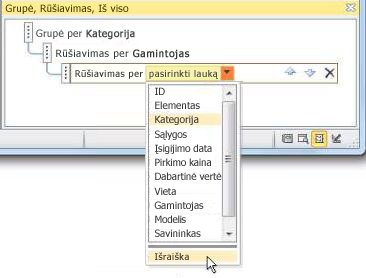 Išraiškos parinkties pasirinkimas srityje Grupavimas, rūšiavimas ir suma.