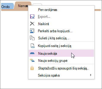 Įtraukite naują sekciją „OneNote“.