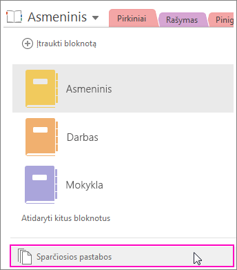 „OneNote 2016“ bloknotų srities su paryškintomis sparčiosiomis pastabomis ekrano kopija