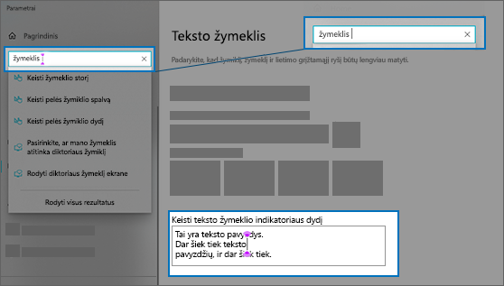 Teksto žymiklio puslapis Parametrai