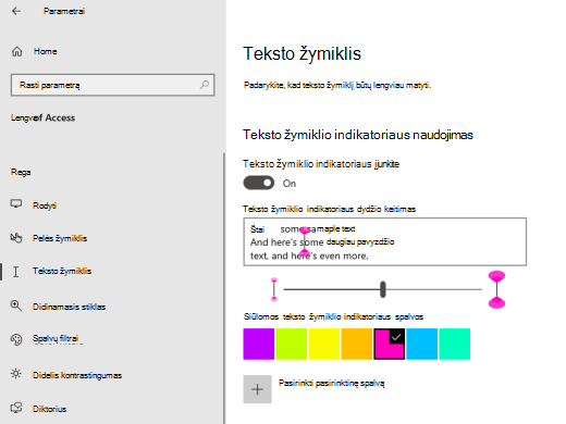 Pažymėtas "Windows" teksto žymiklio indikatorius.