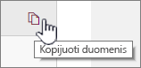 Spustelėkite duomenų kopijavimo piktogramą, kad nukopijuotumėte dabartinius puslapio dalies duomenis