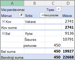 „PivotTable“ ataskaitos pavyzdys