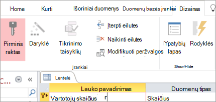 Pirminio rakto lauko pasirinkimas naujoje "Access" lentelėje