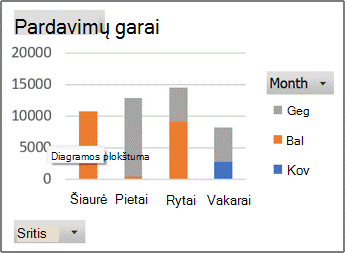 „PivotChart“ ataskaitos pavyzdys