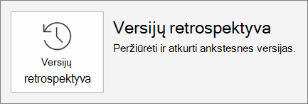 Mygtukas versijų retrospektyva, esantis skirtuke failas.