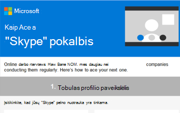 "Skype" pokalbio kontrolinis sąrašas