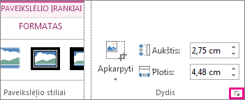 Dialogo lango vykdyklė skirtuko Paveikslėlių įrankių formatas grupėje Dydis