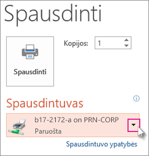 Pasirinkite spausdintuvą