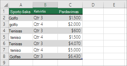 "PivotTable" duomenų pavyzdys