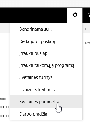 Parinktis svetainės parametrai po mygtuku parametrai