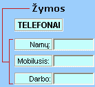 „ActiveX“ žymos valdiklio pavyzdys