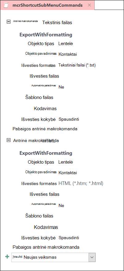 Makrokomandos programoje "Access" su dviem papildomomis makrokomandomis ekrano nuotrauka