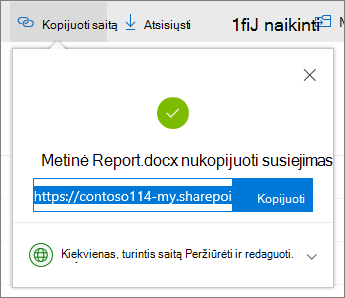 Kopijuoti saitą "OneDrive" verslui