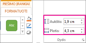 Laukai Aukštis ir Plotis skirtuke Piešimo įrankių formatas