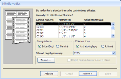 Pirmasis etikečių vedlio programos puslapis