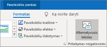 Mygtukas Alternatyvusis tekstas programos „Outlook“, skirtos „Windows“, juostelėje.