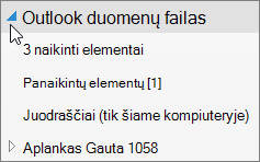 Norėdami atidaryti "Outlook" duomenų failą, pasirinkite šalia jo esančią rodyklę.