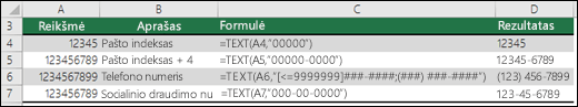 Specialieji funkcijos TEXT formatai