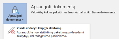 Pasirinktas valdiklis Apsaugoti dokumentą, nurodantis parinktį Visada atidaryti tik skaityti.