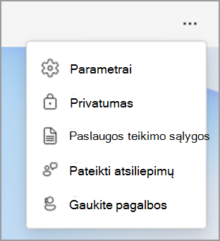 "Viva Insights" parametrų parinktys.