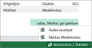 Keli autoriai programoje „Excel Online“