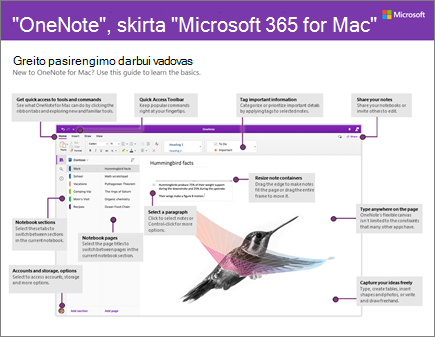 „OneNote 2016“, skirtos „Mac“, greito pasirengimo darbui vadovas