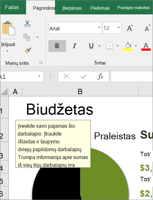 "Excel" vartotojo sąsajos ekrano iliustracija, rodanti įtaisytąsias instrukcijas