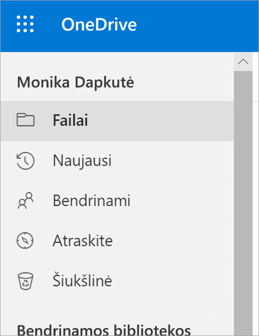 "OneDrive" meniu Rodinys