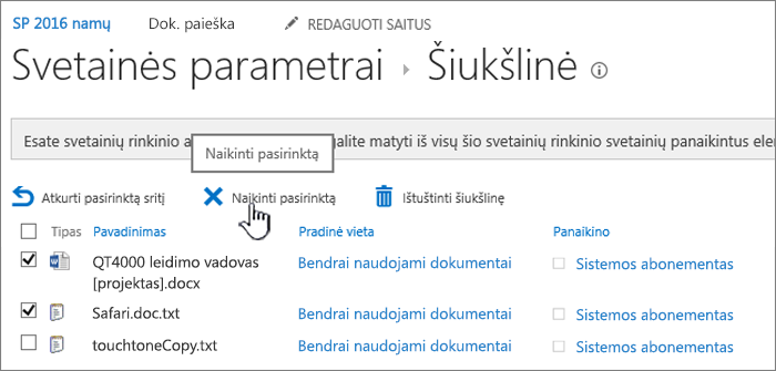 Paryškintas "SharePoint 2016" šiukšlinės puslapio naikinimo mygtukas