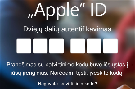 Įveskite savo dviejų dalių autentifikavimo kodą