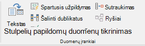 Duomenų tikrinimas