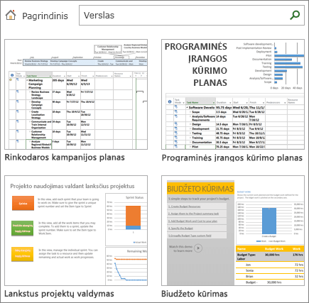 Ekrano nuotrauka, vaizduojanti kategorijos Verslas projekto plano šablonus.