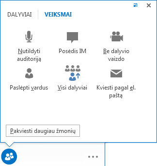 Parinktys skirtuke Veiksmai