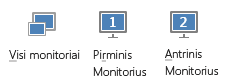 Skirtuko Pateikti ekrano nuotrauka, kurioje rodomas pagrindinis, antrinis ir visi monitoriai
