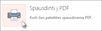 Skaidrių spausdinimas kaip PDF