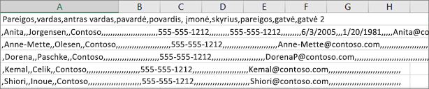 .csv failo, įrašyto .xls formatu, pavyzdys