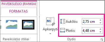 Laukai Aukštis ir Plotis skirtuke Paveikslėlių įrankių formatas