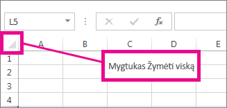 Mygtukas Žymėti viską