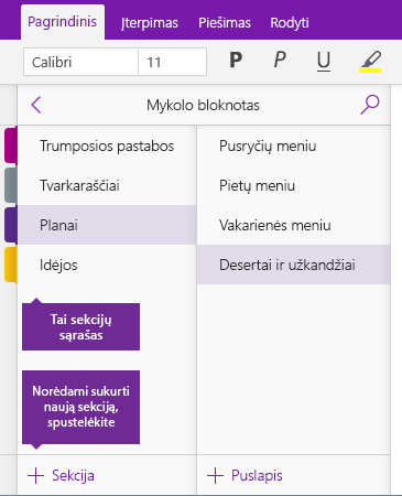 Mygtuko Įtraukti sekciją programoje „OneNote“ ekrano nuotrauka